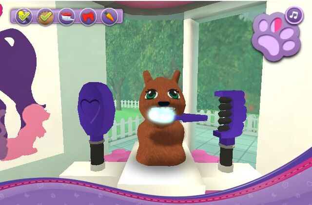 File:Brushing Squirell's teeth.jpg