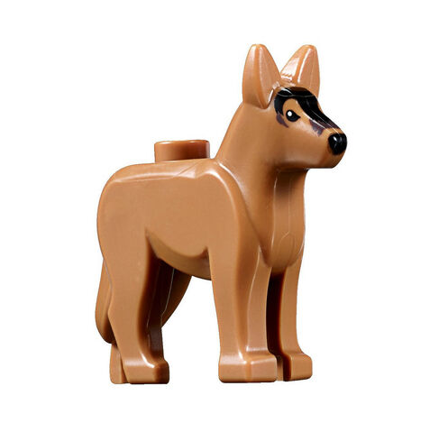 File:Dog 60139.jpg