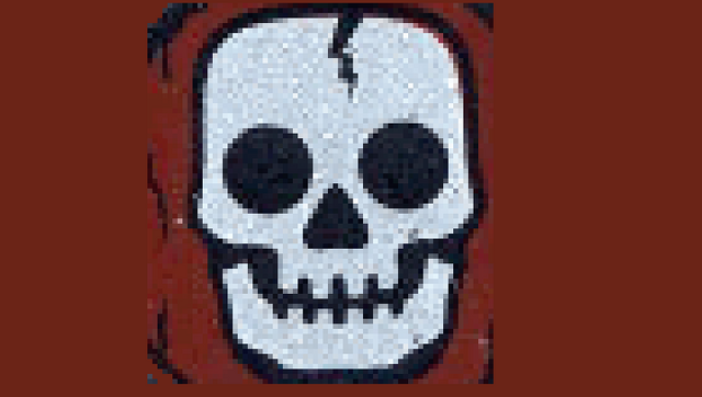 File:Skele shield.png