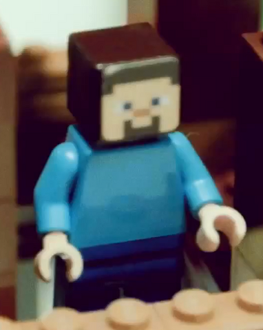 File:Steve Fig 2.png