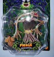 Phage