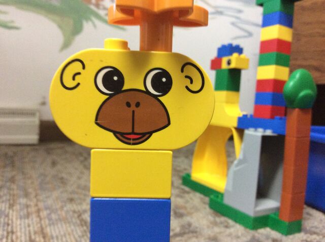 File:Flower Monkey.jpeg
