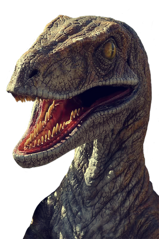 File:Raptor.png..png