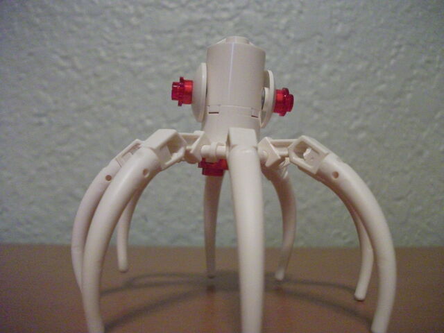 File:Squid.jpg