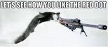Meowy