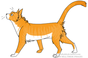 Petit papillon