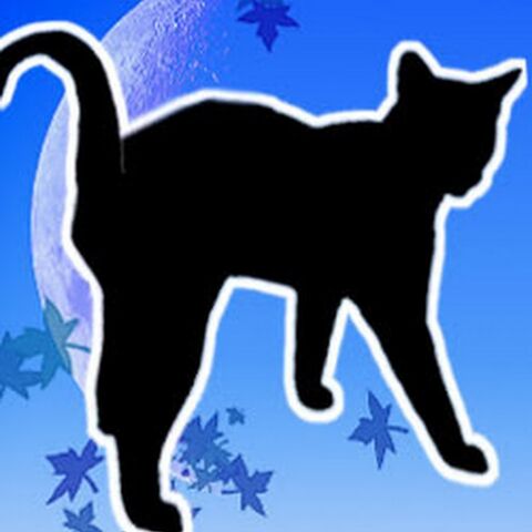 Файл:MoonCatShadow2.jpg