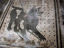 Cave canem