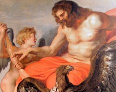 Zeus rubens.jpg