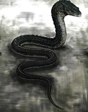 Slytherin's Basilisk.jpg