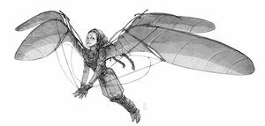 Lilit wings