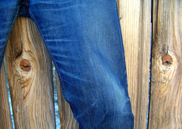 File:Inner-thigh-and-knee-fade.jpg