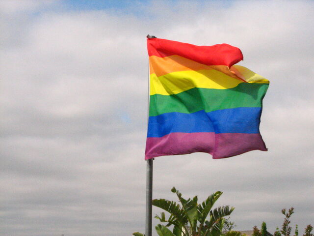 File:Rainbow flag flapping in the wind.jpg