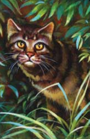 Étoile du Tigre2.png