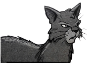 Griffe Féroce.manga SkyClan's Destiny