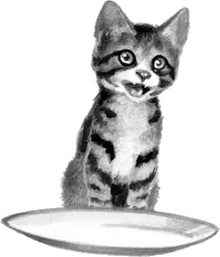 Chat domestique