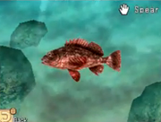 Sting Fish 2