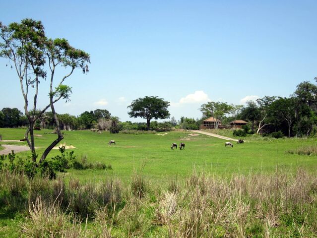 File:Savannah-view-oi.jpg