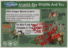 Arcadia Bay Wildlife Poster