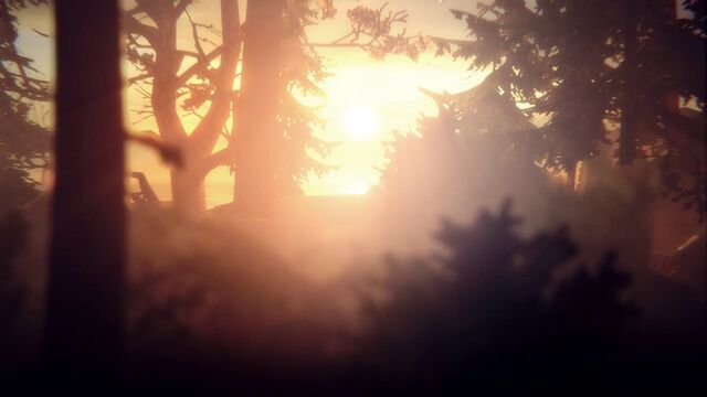 File:LifeIsStrange 2015-05-23 13-27-13-42.jpg