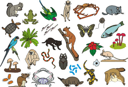 File:Wiki-background