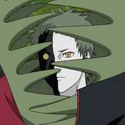 Neto