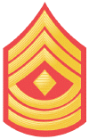 E-8 First Sergeant small