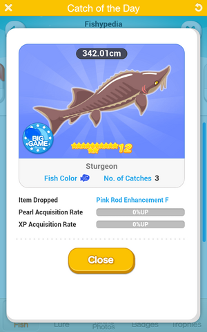 File:Screenshot 2014-03-14-15-49-55.png
