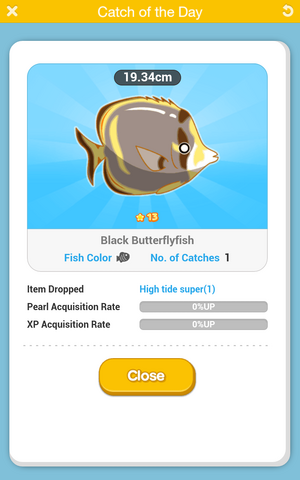 File:Black Butterflyfish.png