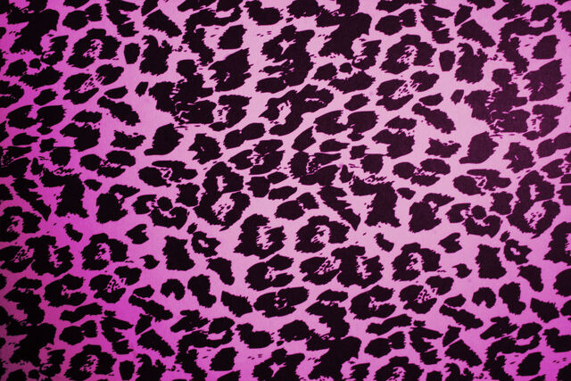 File:Leopard print .jpg