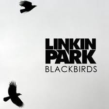 Blackbirdscover