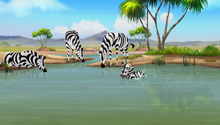 Never-roar-again-hd (375)