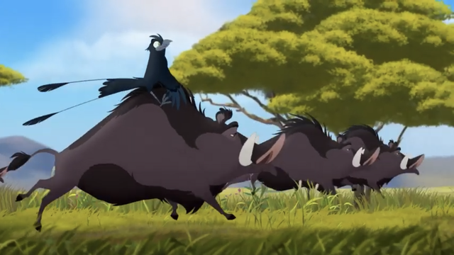 File:The-call-of-the-drongo (173).png