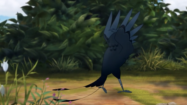 File:The-call-of-the-drongo (214).png