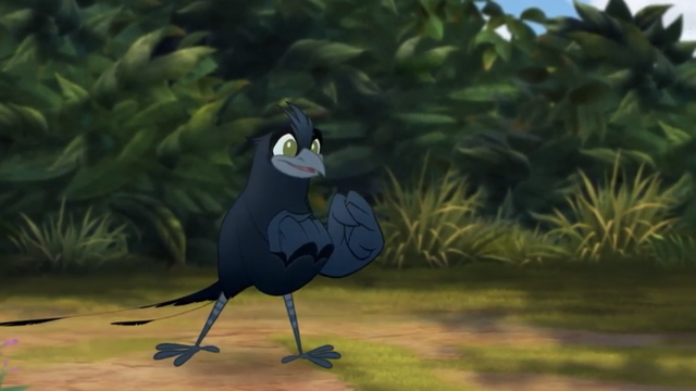File:The-call-of-the-drongo (216).png