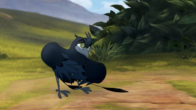 File:The-call-of-the-drongo (135).png