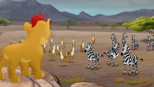 The-mbali-fields-migration (342)
