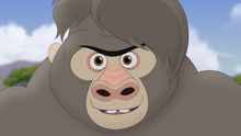 The-lost-gorillas (41)