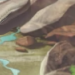 File:Hipposprings-profile.png