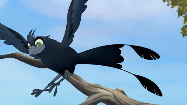 File:The-call-of-the-drongo (270).png