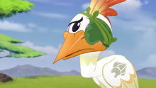 Eye-of-the-beholder-hd (142)