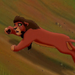 Run Kovu