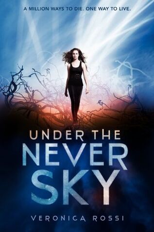 File:UnderTheNeverSky.jpeg