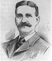 BaumInWiz1900