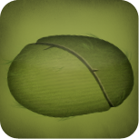 File:Cocoon.png