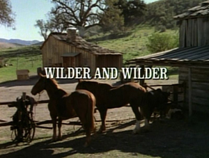 Title.wilderandwilder