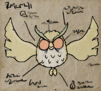 Fierce Owl