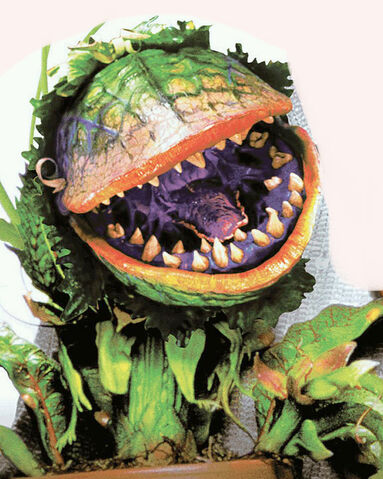 File:JUMBOAUDREY2.jpg