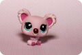 Thumbnail for version as of 10:49, January 15, 2013