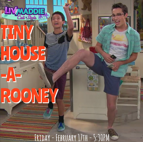 File:TinyHouse4.png
